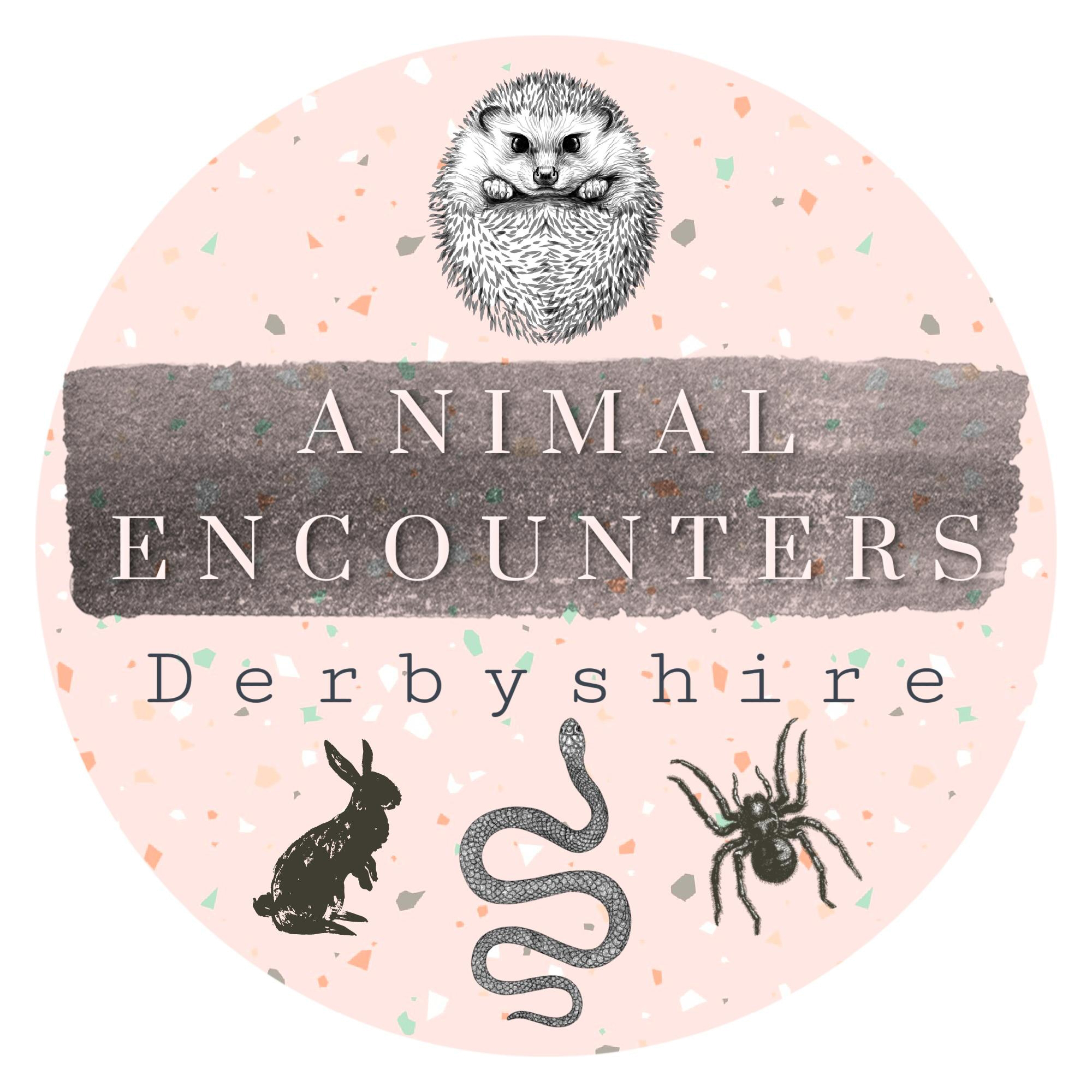 Animal Encounters